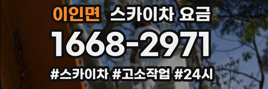 이인면 스카이차 요금