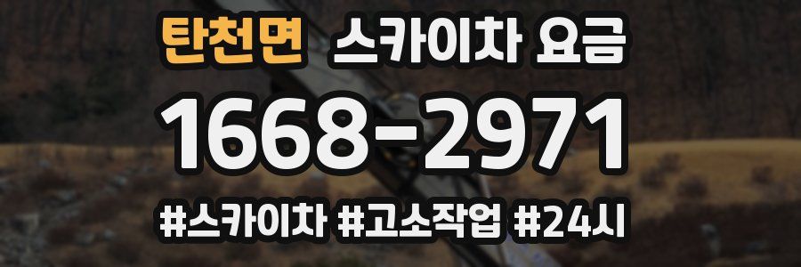 탄천면 스카이차 요금