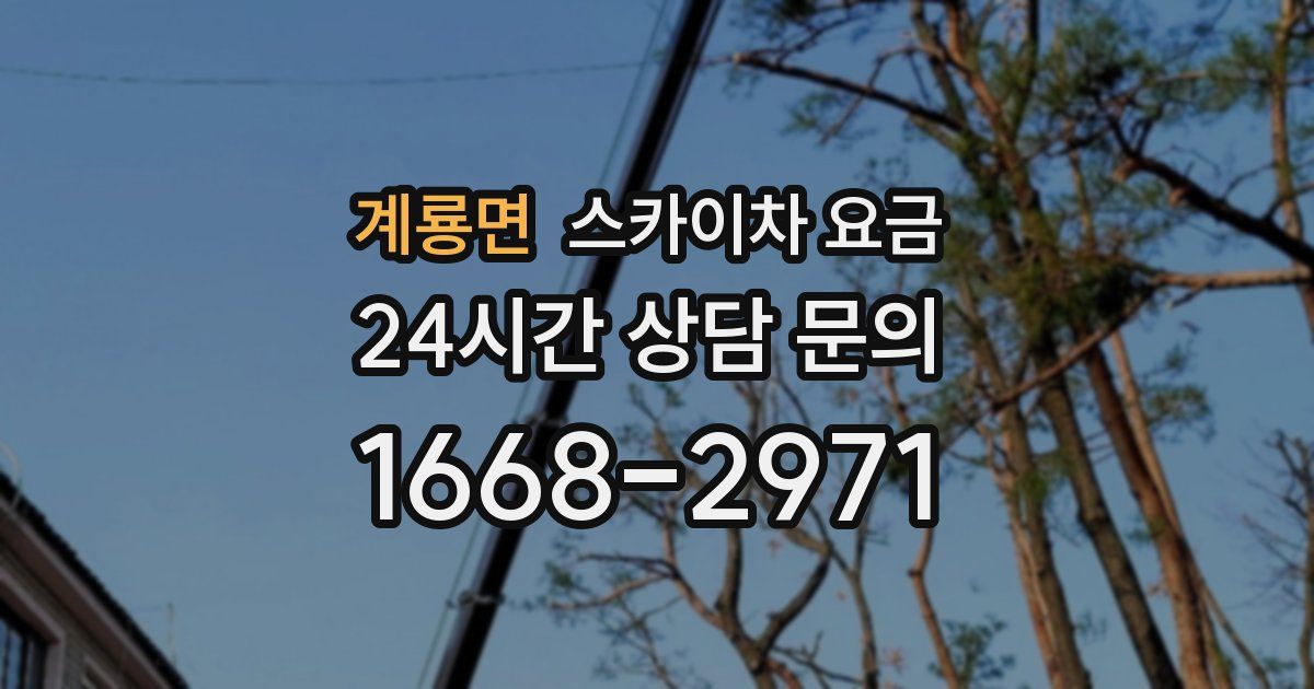 계룡면 스카이차 요금