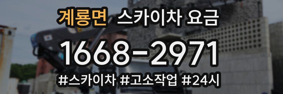 계룡면 스카이차 요금