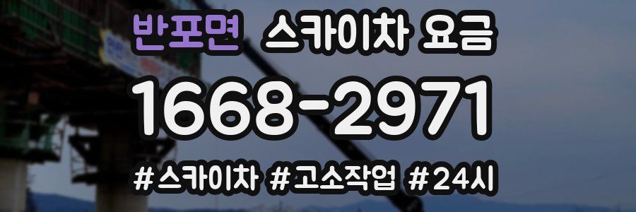 반포면 스카이차 요금