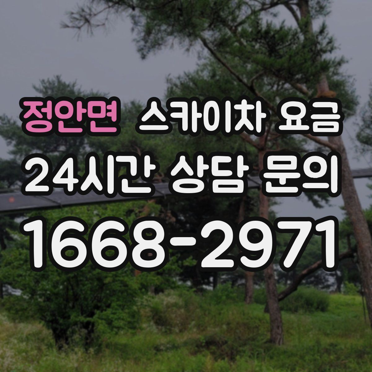 정안면 스카이차 요금