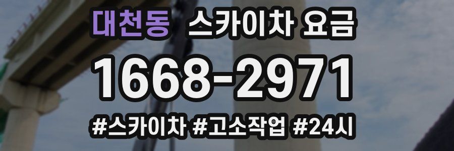 대천동 스카이차 요금