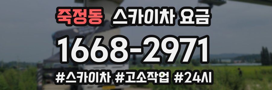 죽정동 스카이차 요금