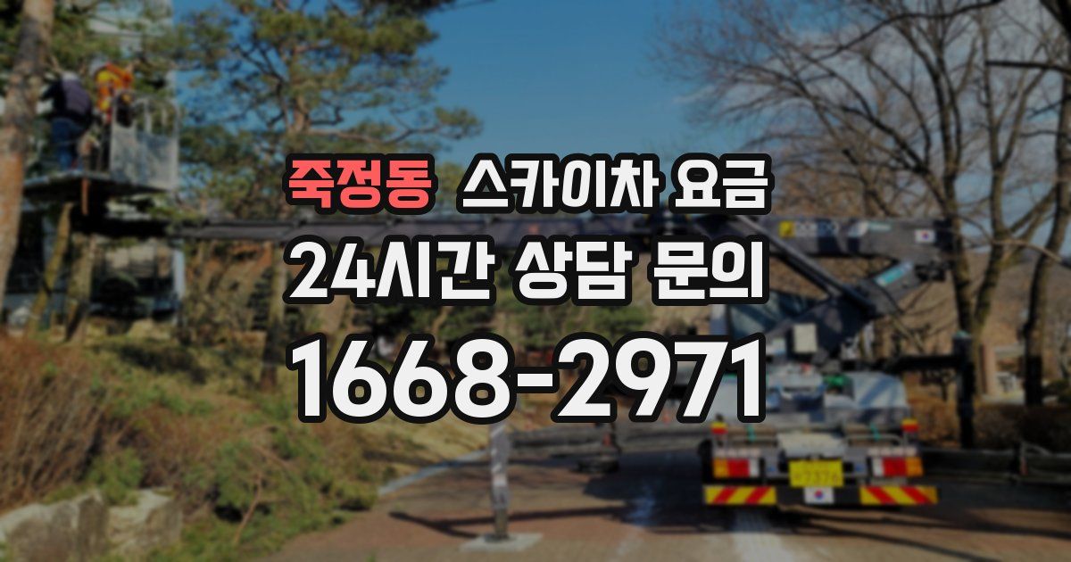 죽정동 스카이차 요금