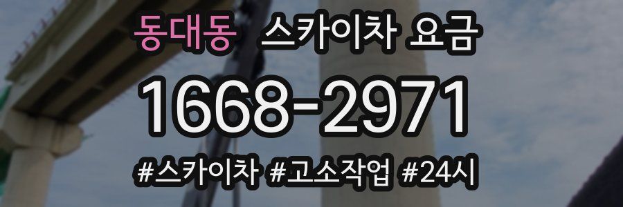 동대동 스카이차 요금