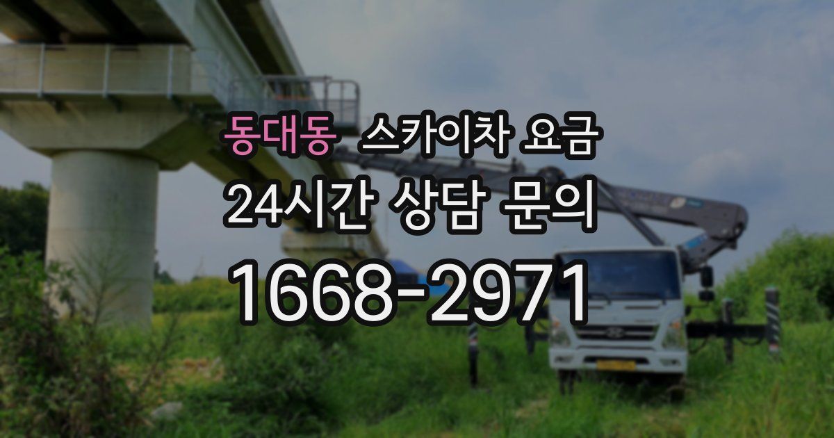 동대동 스카이차 요금