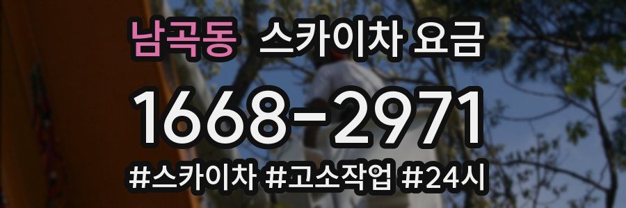 남곡동 스카이차 요금