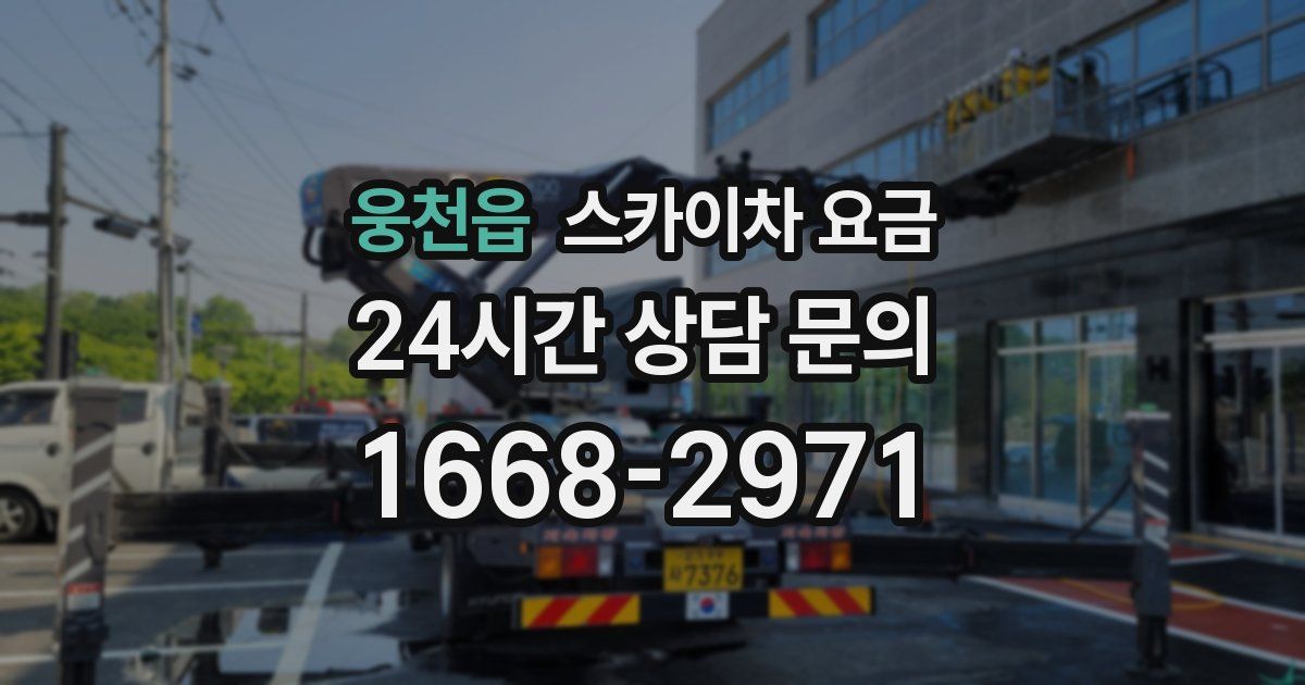 웅천읍 스카이차 요금