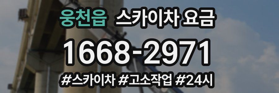 웅천읍 스카이차 요금