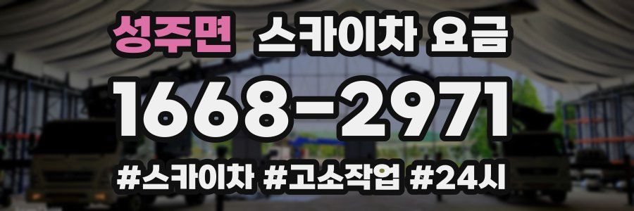 성주면 스카이차 요금