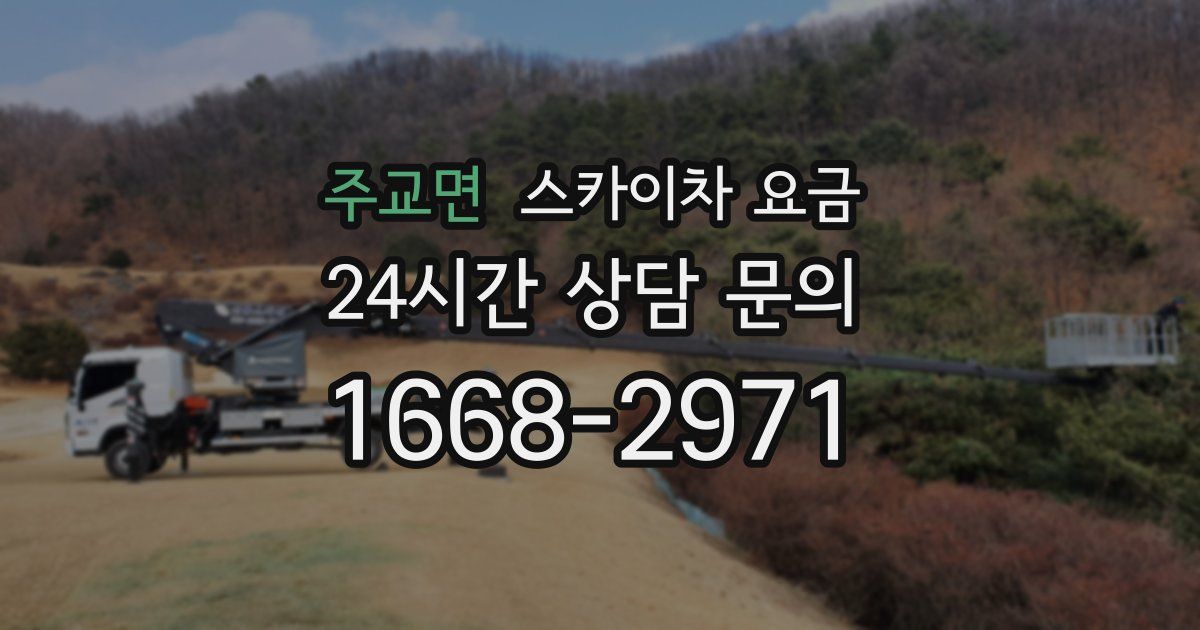 주교면 스카이차 요금