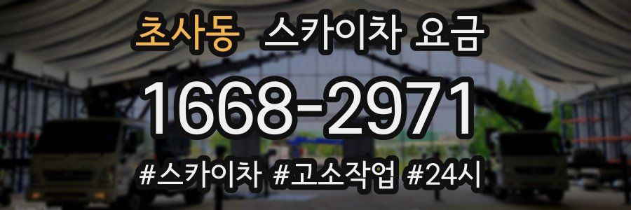 초사동 스카이차 요금