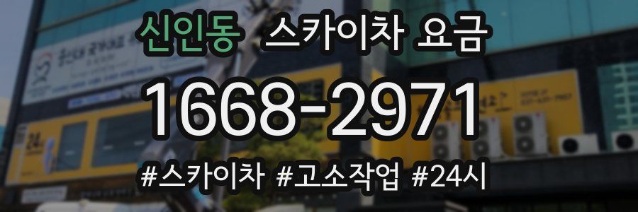 신인동 스카이차 요금