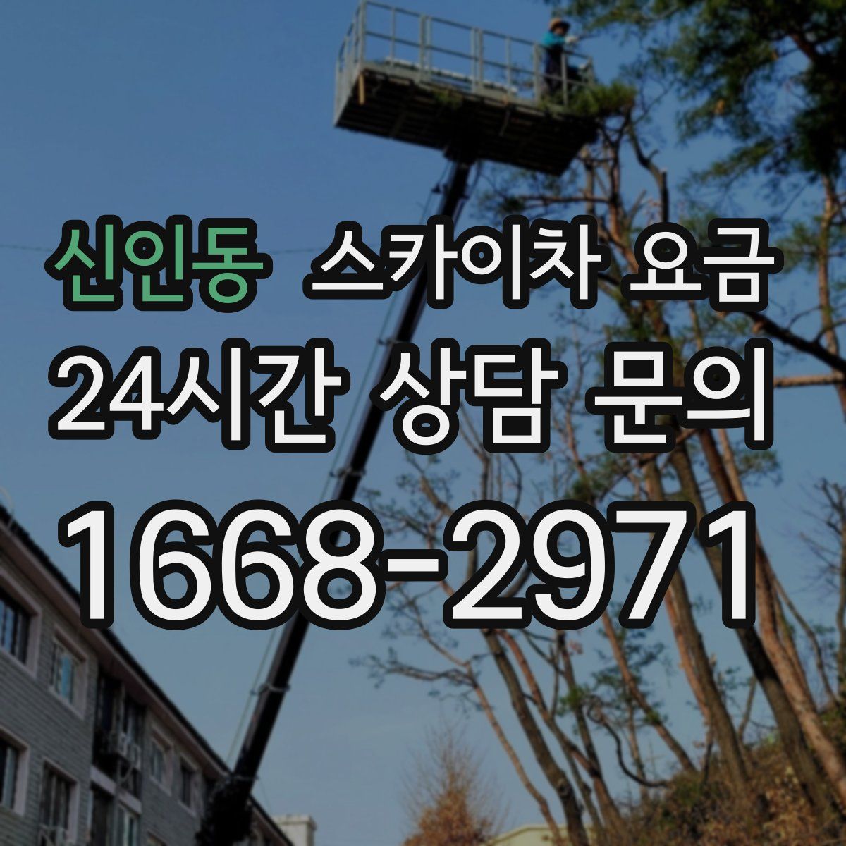 신인동 스카이차 요금