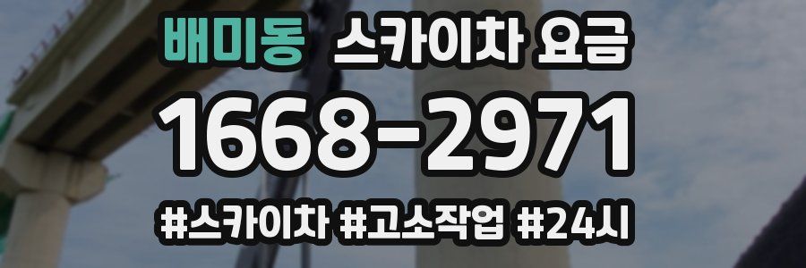 배미동 스카이차 요금