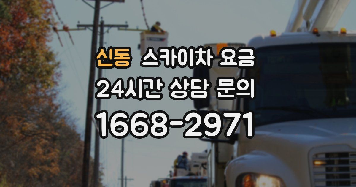 신동 스카이차 요금