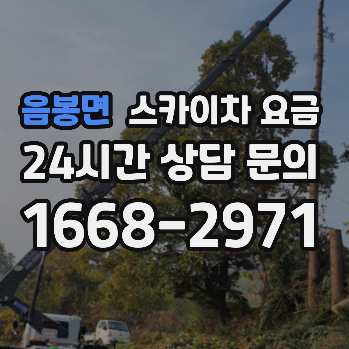 음봉면 스카이차 요금 현장 변수까지 고려한 합리적 안내 받기