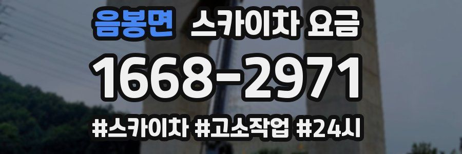 음봉면 스카이차 요금