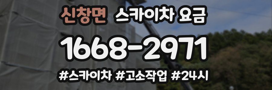 신창면 스카이차 요금