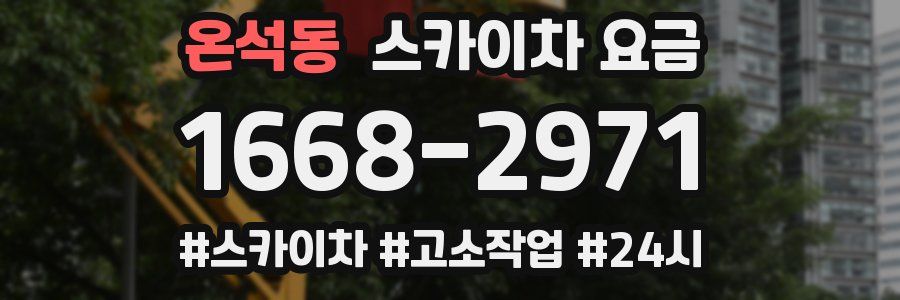 온석동 스카이차 요금