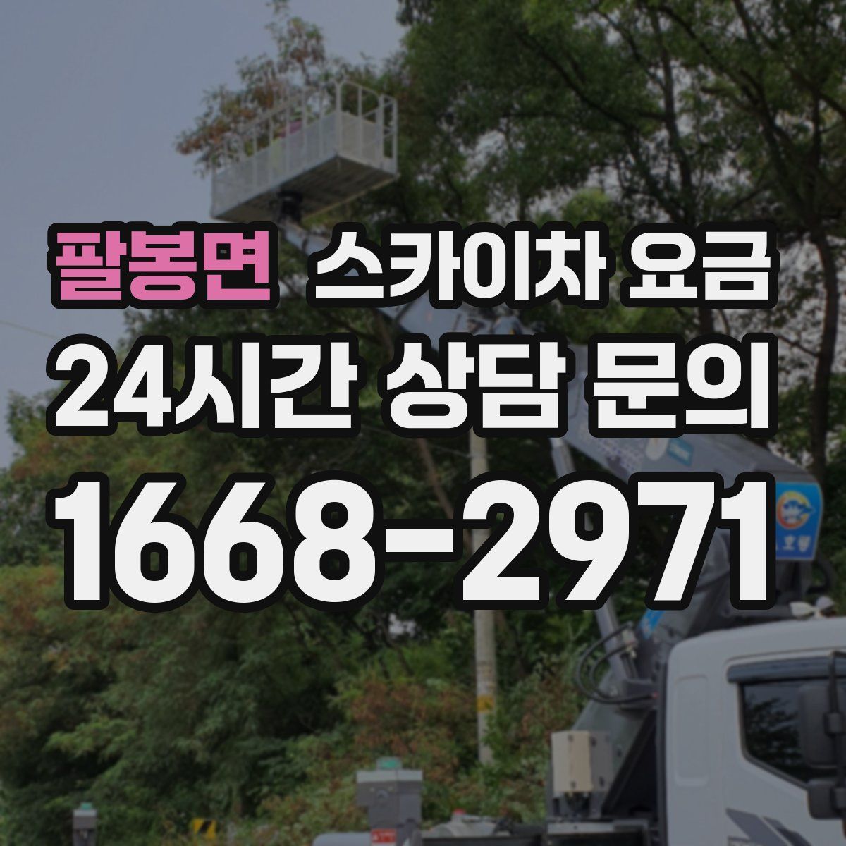 팔봉면 스카이차 요금