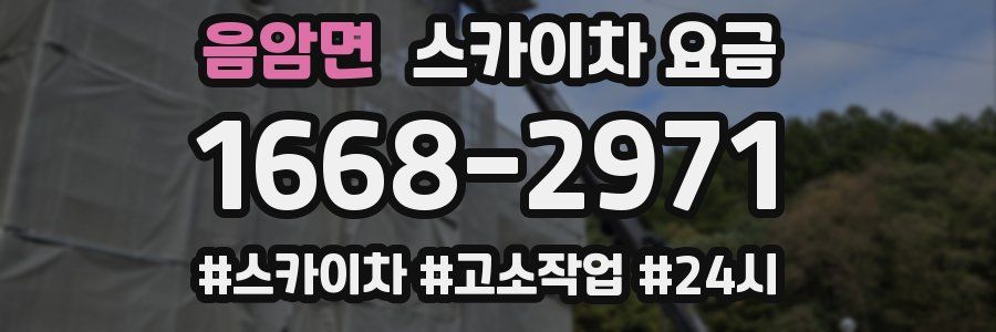 음암면 스카이차 요금