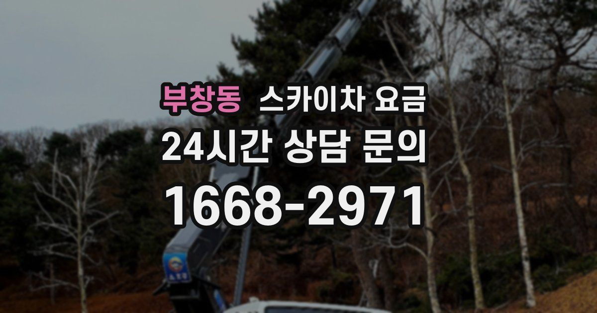 부창동 스카이차 요금