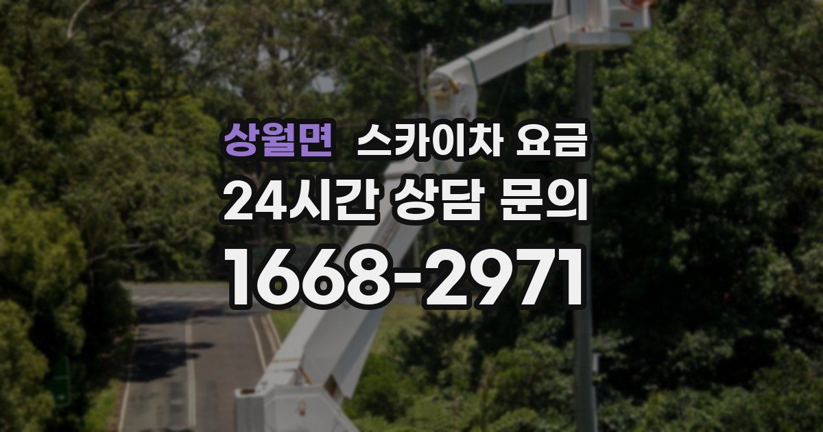 상월면 스카이차 요금