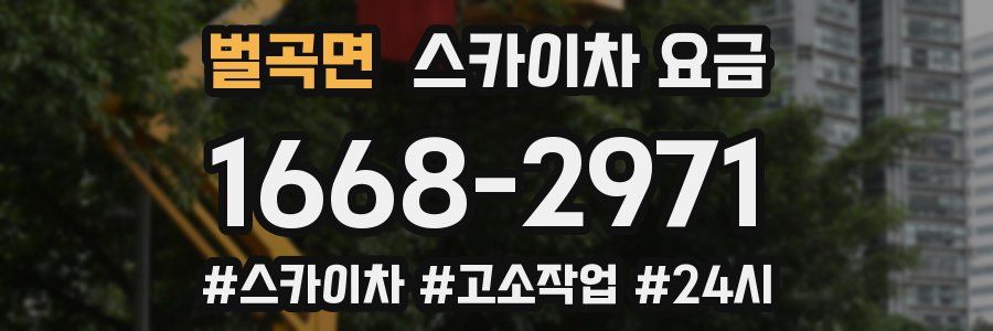 벌곡면 스카이차 요금