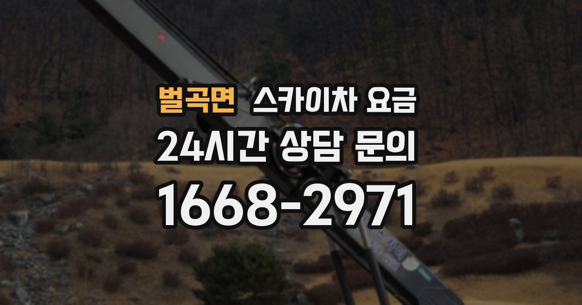 벌곡면 스카이차 요금