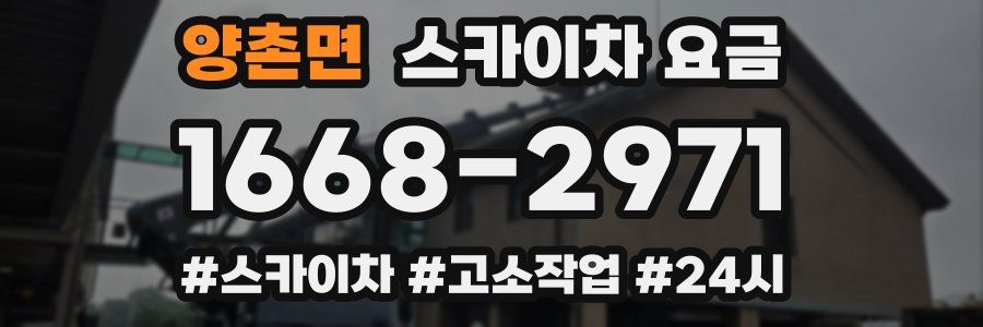 양촌면 스카이차 요금