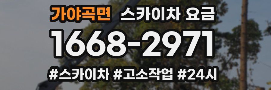 가야곡면 스카이차 요금