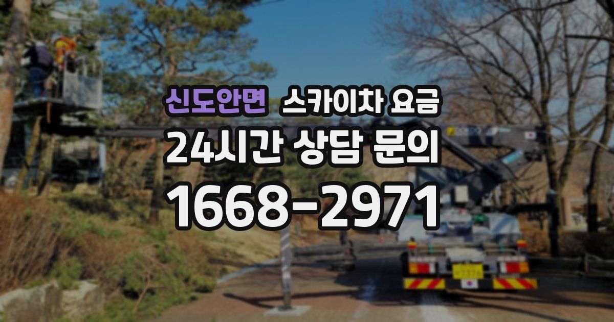 신도안면 스카이차 요금