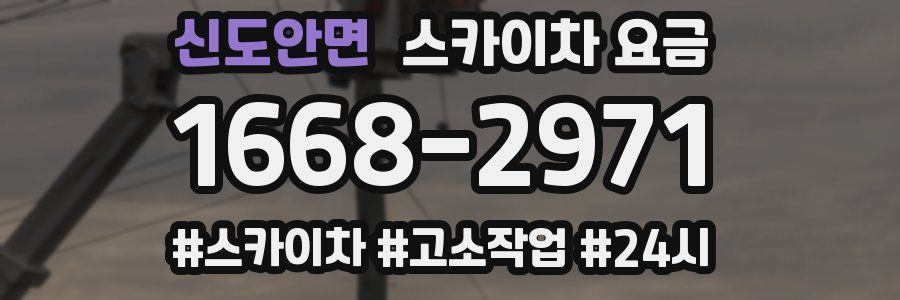 신도안면 스카이차 요금