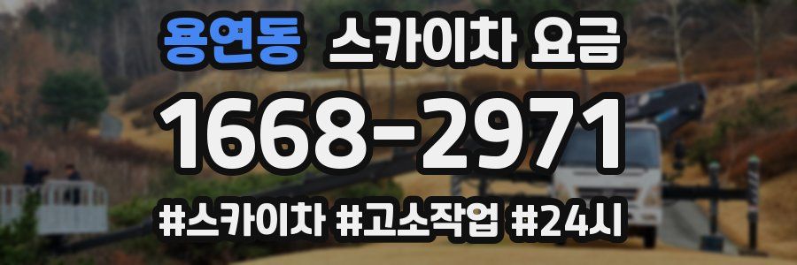 용연동 스카이차 요금