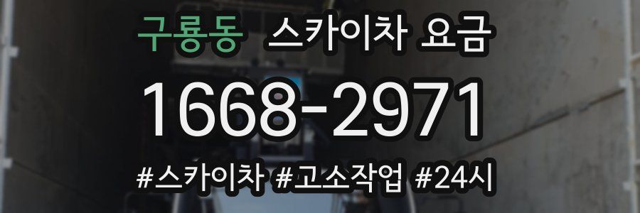 구룡동 스카이차 요금