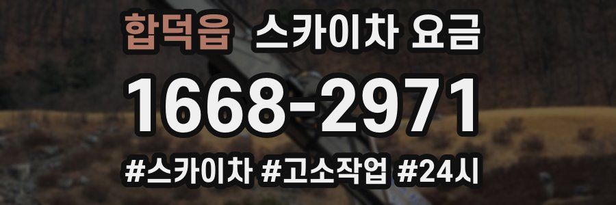 합덕읍 스카이차 요금