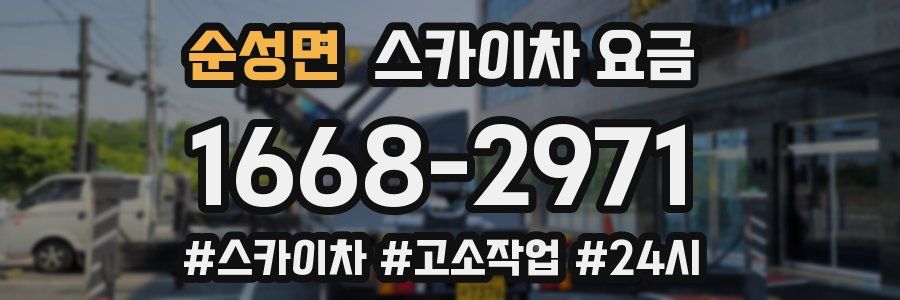 순성면 스카이차 요금