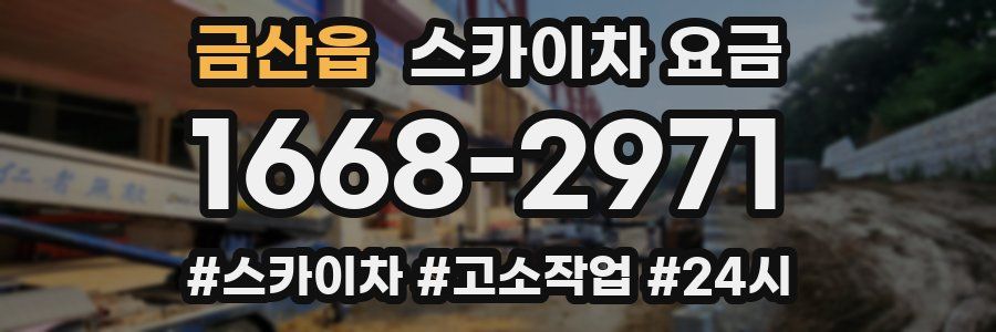 금산읍 스카이차 요금