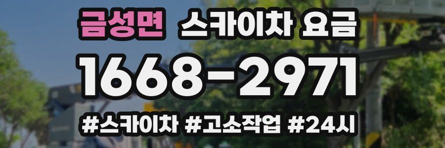 금성면 스카이차 요금
