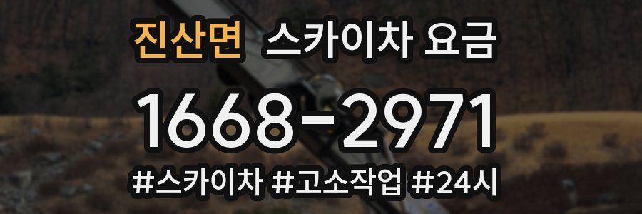 진산면 스카이차 요금