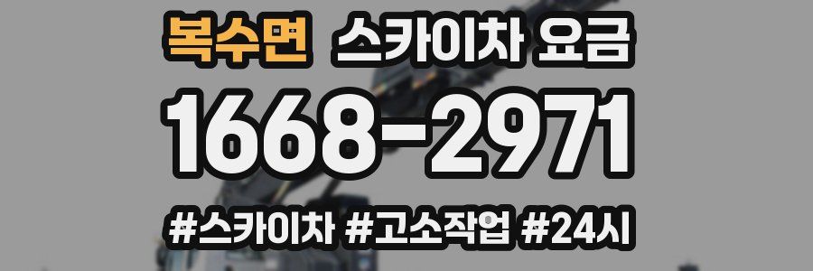 복수면 스카이차 요금