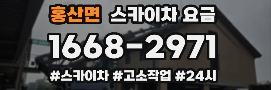 홍산면 스카이차 요금