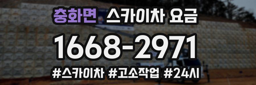 충화면 스카이차 요금