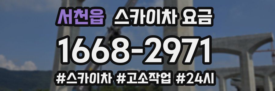 서천읍 스카이차 요금