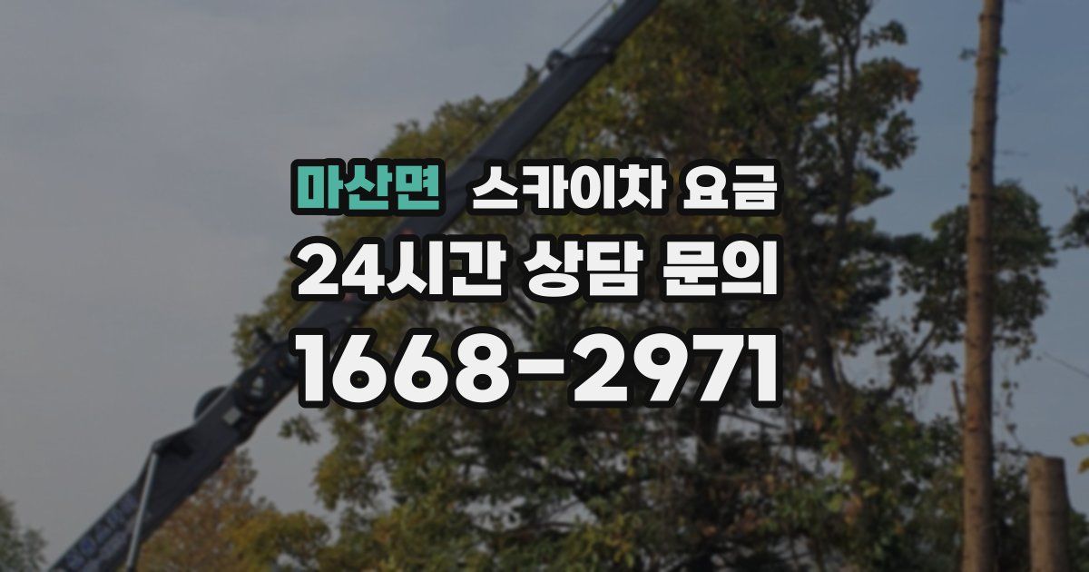 마산면 스카이차 요금