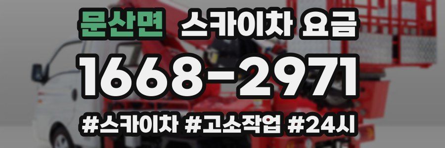 문산면 스카이차 요금