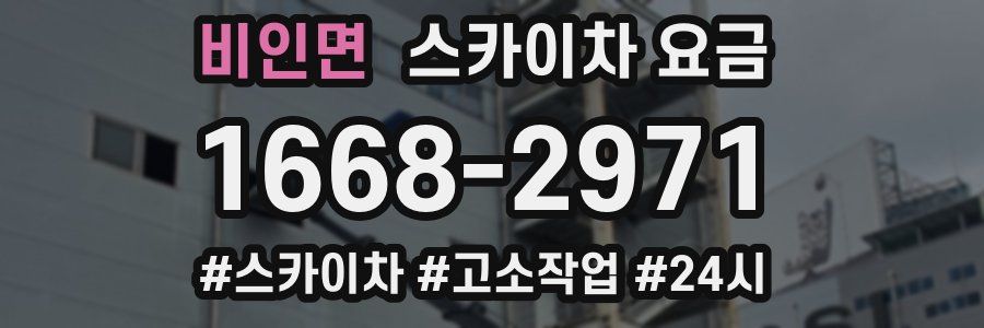 비인면 스카이차 요금