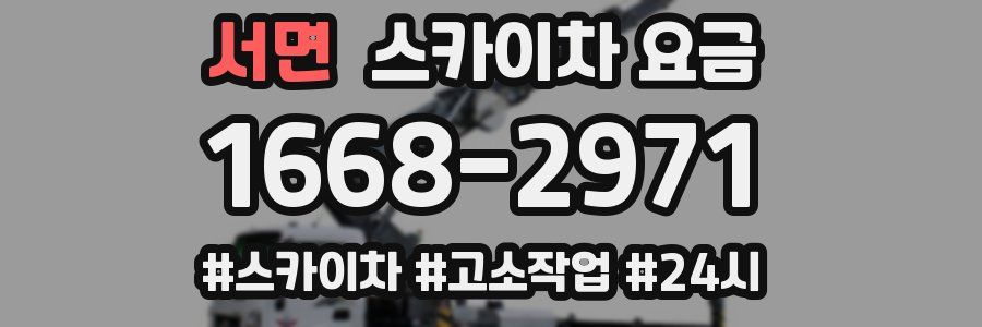 서면 스카이차 요금